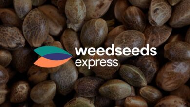 Photo of Discover Your Perfect Cannabis Seeds at Weed Seeds Express!