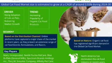Photo of Top 10 Cat Food Brand Globally – Market Share, Demand and Growth By 2030