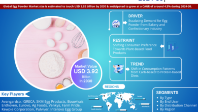 Photo of Navigating Egg Powder Market Trends: USD 3.92 BILLION BY 2030 and Boasting a CAGR of 4.5% Projections by 2030