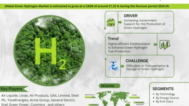 Photo of Green Hydrogen Market to Grasp Excellent Growth by 2030