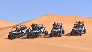 Photo of Desert Thrills: