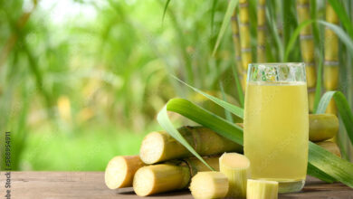 Photo of Sugarcane Juice: The Sweet Nectar of Health