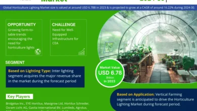 Photo of Exploring Horticulture Lighting Market Opportunity, Latest Trends, Demand, and Development By 2030