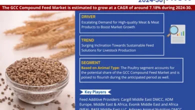 Photo of Exploring GCC Compound Feed Market Opportunity, Latest Trends, Demand, and Development By 2030
