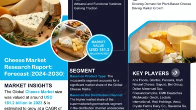 Photo of Exploring Cheese Market Opportunity, Latest Trends, Demand, and Development By 2030