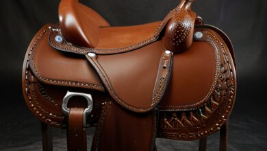 Photo of Everything You Need to Know About Horse Saddle