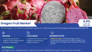 Photo of Dragon Fruit Market Growth and Development Insight – Size, Share, Growth, and Industry Analysis