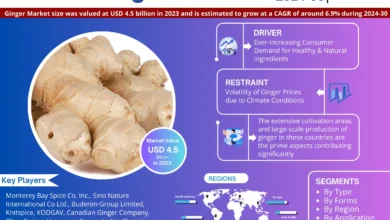Photo of Ginger Market Size, Growth, Share, Competitive Analysis and Future Trends 2030: MarkNtel Advisors