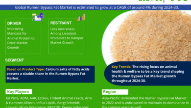 Photo of Global Rumen Bypass Fat Market Size, Share & Trends Analysis | 4% CAGR By 2030