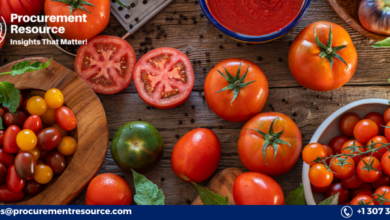 Photo of Tomato Production Cost Report: Insights into the Manufacturing Process