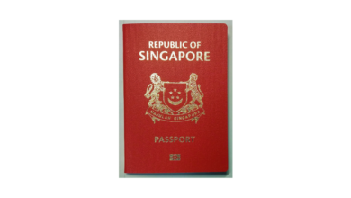 Photo of Unraveling Singapore Visas : A Detailed Handbook on Application, Prerequisites, and FAQs