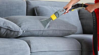 Photo of What to Look for in a Sofa Cleaning Service in Leichhardt