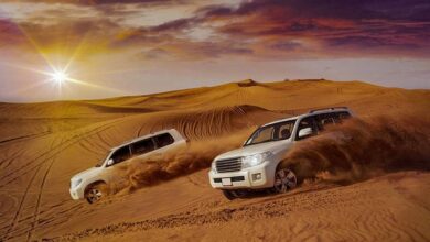 Photo of What You Need To Know About Private Morning Desert Safari in Dubai