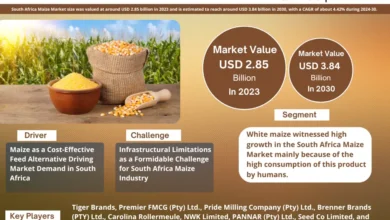 Photo of South Africa Maize Market Forecast: Projected to Reach USD 2.85 BILLION IN 2023, with a 4.42% CAGR By 2030