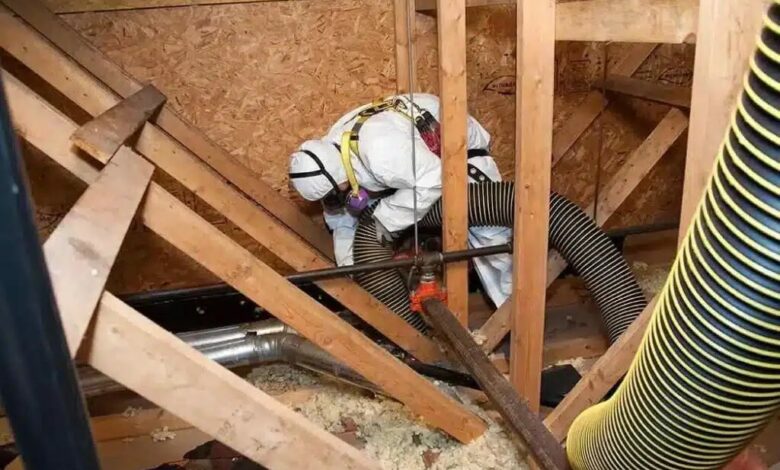 best insulation removal services